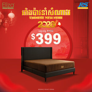 Eliza Brownie Pocketing Spring